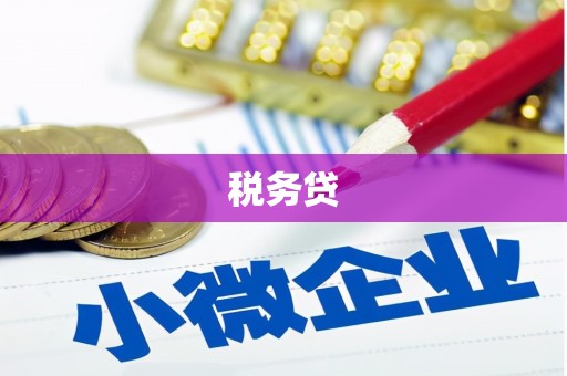 昌宁税务贷