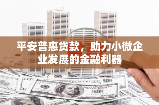 昌宁平安普惠贷款，助力小微企业发展的金融利器
