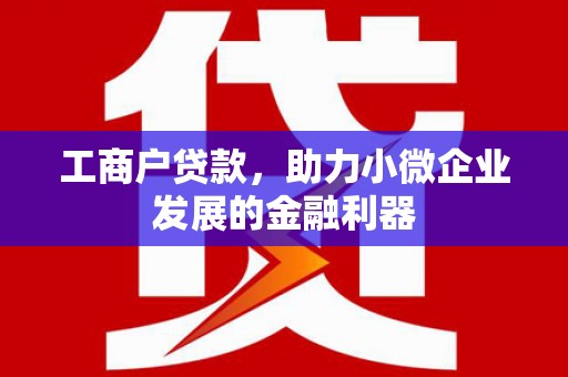 昌宁工商户贷款，助力小微企业发展的金融利器