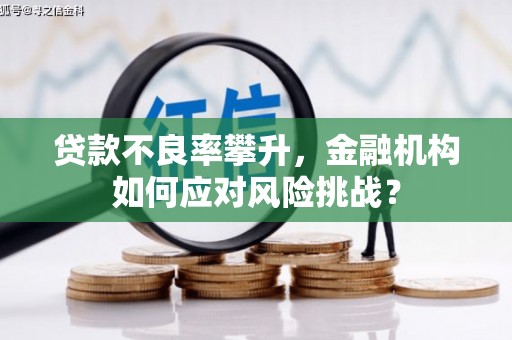 昌宁贷款不良率攀升，金融机构如何应对风险挑战？