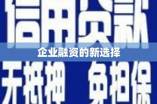 昌宁企业融资的新选择
