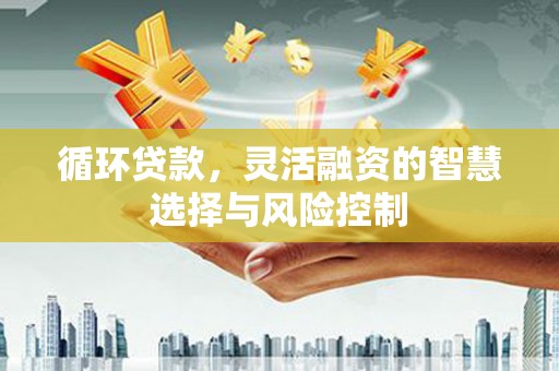 昌宁循环贷款，灵活融资的智慧选择与风险控制