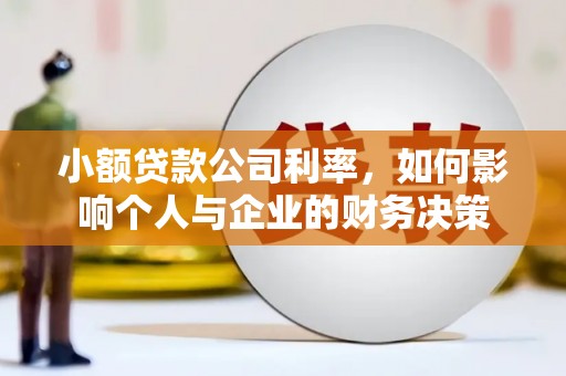 昌宁小额贷款公司利率，如何影响个人与企业的财务决策