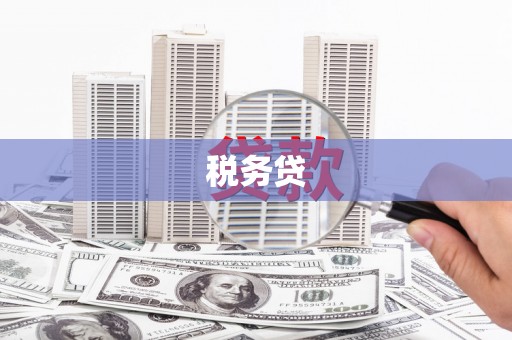 昌宁税务贷