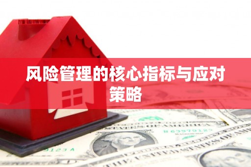 昌宁风险管理的核心指标与应对策略