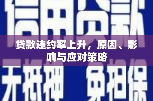 昌宁贷款违约率上升，原因、影响与应对策略