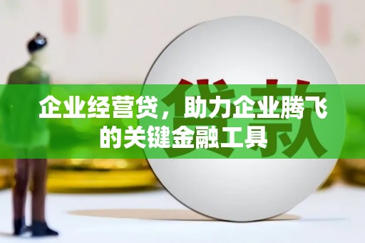 昌宁企业经营贷，助力企业腾飞的关键金融工具