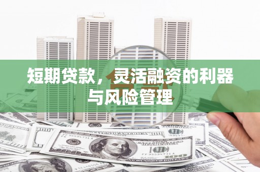 昌宁短期贷款，灵活融资的利器与风险管理
