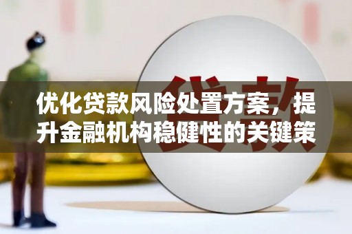 昌宁优化贷款风险处置方案，提升金融机构稳健性的关键策略