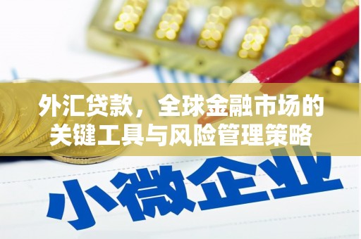 昌宁外汇贷款，全球金融市场的关键工具与风险管理策略