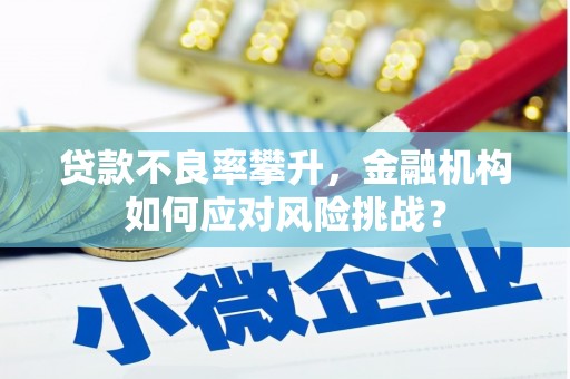 昌宁贷款不良率攀升，金融机构如何应对风险挑战？