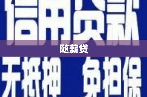 昌宁随薪贷