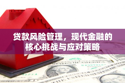 昌宁贷款风险管理，现代金融的核心挑战与应对策略