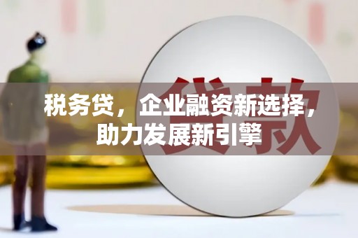 昌宁税务贷，企业融资新选择，助力发展新引擎