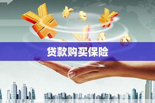 昌宁贷款购买保险