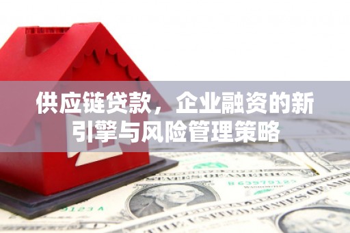 昌宁供应链贷款，企业融资的新引擎与风险管理策略