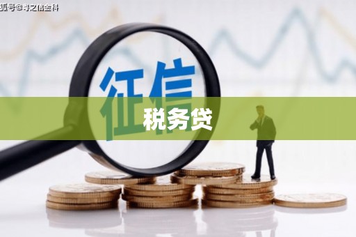昌宁税务贷