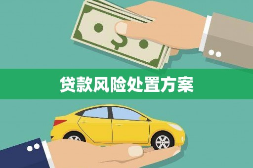 昌宁贷款风险处置方案