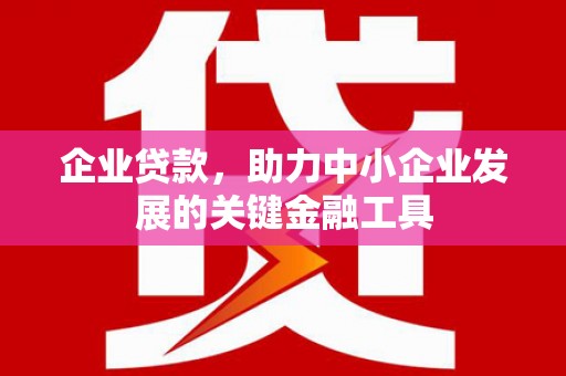 昌宁企业贷款，助力中小企业发展的关键金融工具