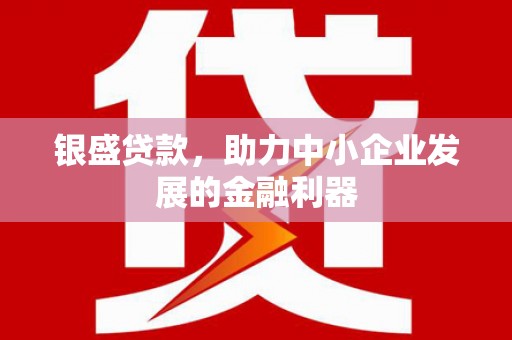 昌宁银盛贷款，助力中小企业发展的金融利器