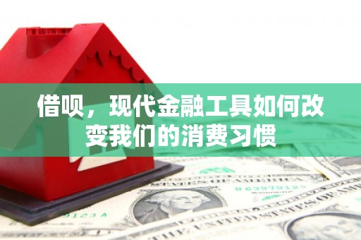 昌宁借呗，现代金融工具如何改变我们的消费习惯