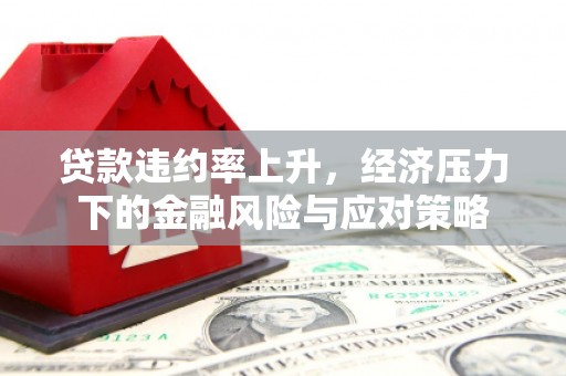 昌宁贷款违约率上升，经济压力下的金融风险与应对策略