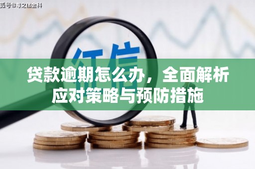 昌宁贷款逾期怎么办，全面解析应对策略与预防措施