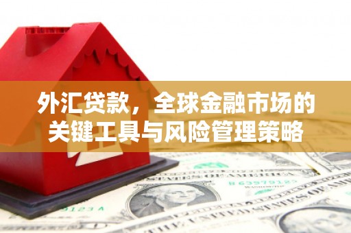 昌宁外汇贷款，全球金融市场的关键工具与风险管理策略