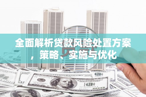 昌宁全面解析贷款风险处置方案，策略、实施与优化