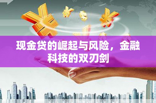 昌宁现金贷的崛起与风险，金融科技的双刃剑