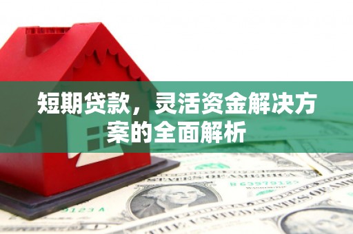 昌宁短期贷款，灵活资金解决方案的全面解析