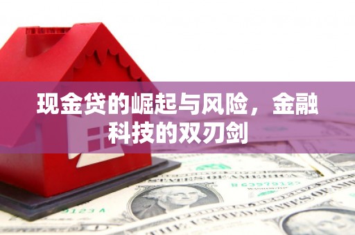 昌宁现金贷的崛起与风险，金融科技的双刃剑