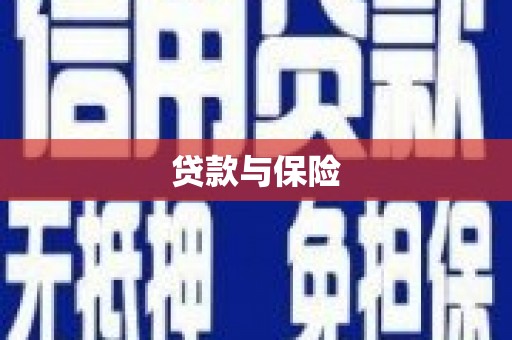 昌宁贷款与保险