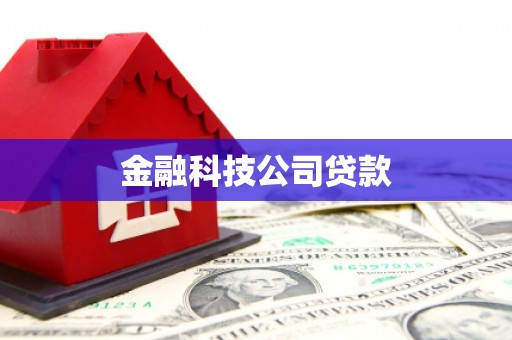 昌宁金融科技公司贷款