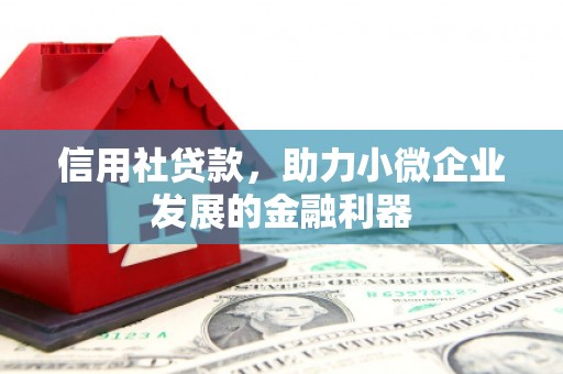 昌宁信用社贷款，助力小微企业发展的金融利器