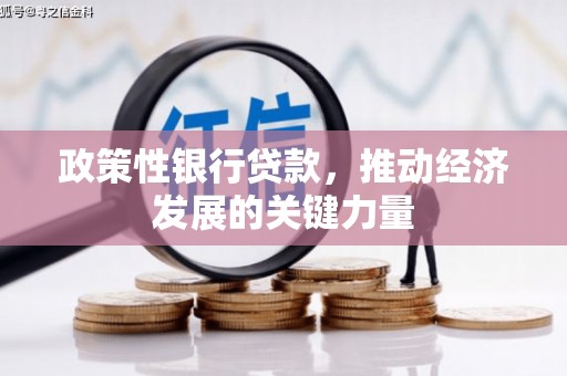 昌宁政策性银行贷款，推动经济发展的关键力量