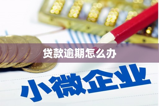 昌宁贷款逾期怎么办