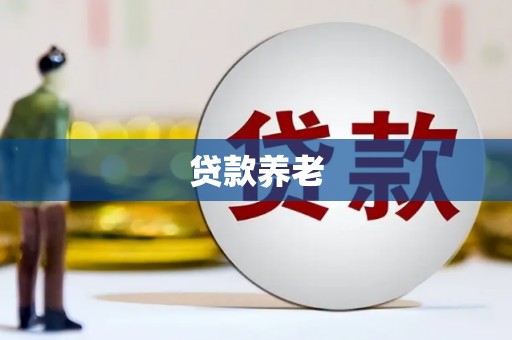 昌宁贷款养老