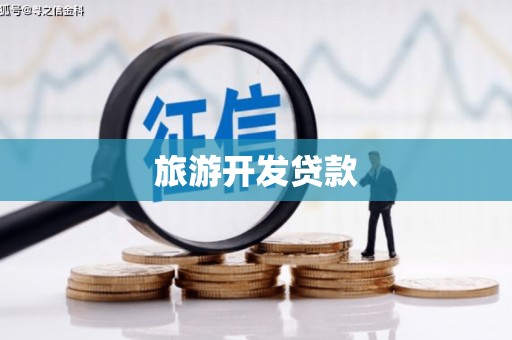 昌宁旅游开发贷款