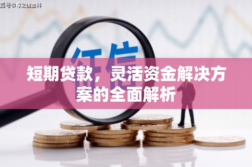 昌宁短期贷款，灵活资金解决方案的全面解析