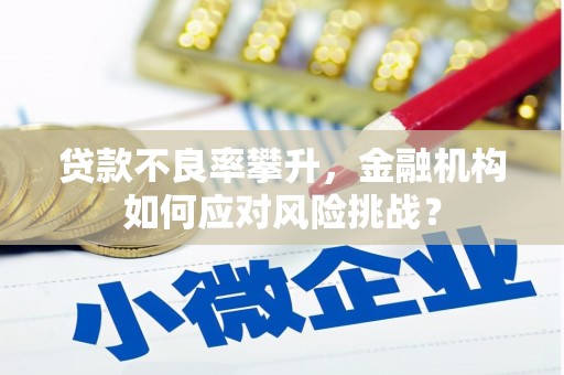昌宁贷款不良率攀升，金融机构如何应对风险挑战？