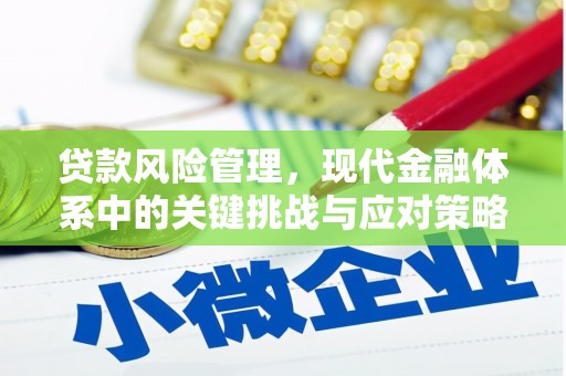 昌宁贷款风险管理，现代金融体系中的关键挑战与应对策略