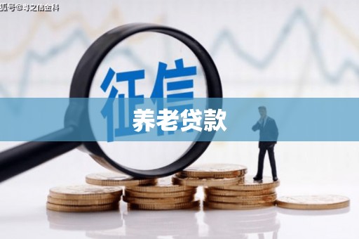 昌宁养老贷款