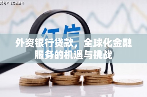 昌宁外资银行贷款，全球化金融服务的机遇与挑战