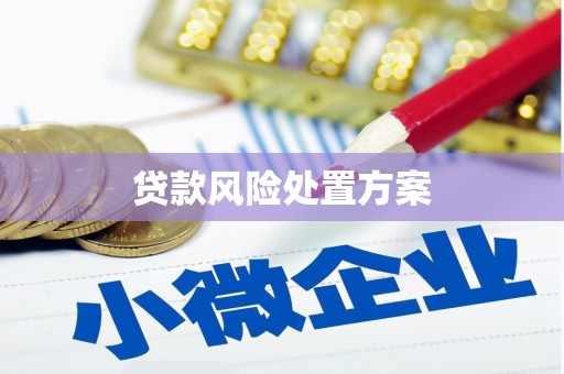 昌宁贷款风险处置方案