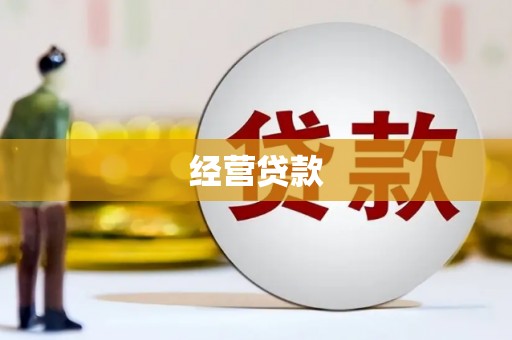 昌宁经营贷款