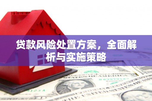 昌宁贷款风险处置方案，全面解析与实施策略