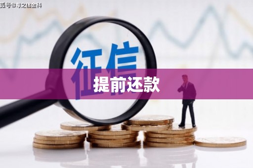 昌宁提前还款