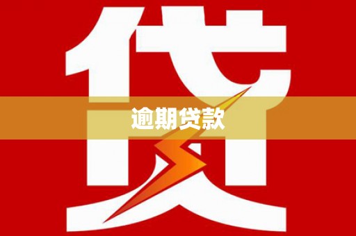 昌宁逾期贷款